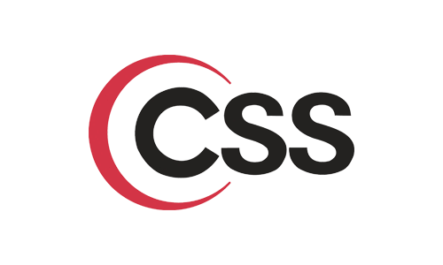 Responsive Website Design and development services using CSS