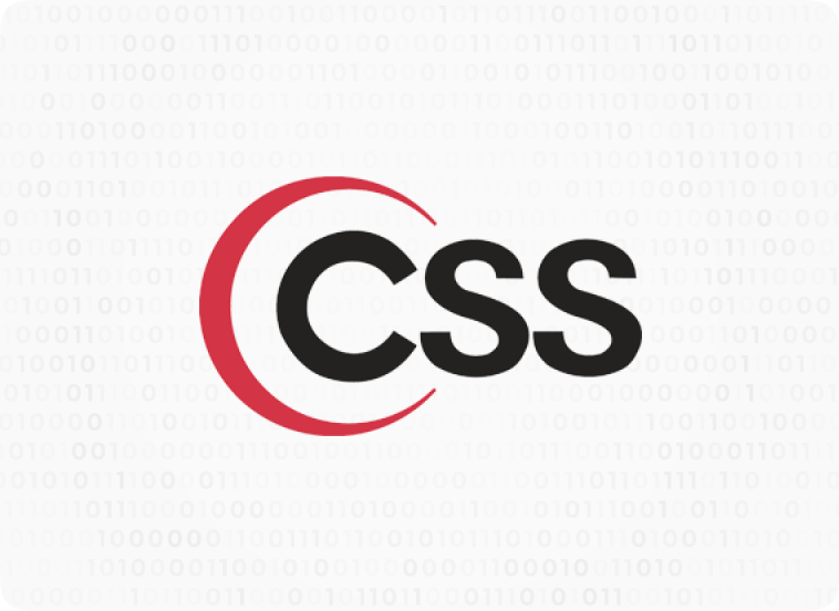 CSS